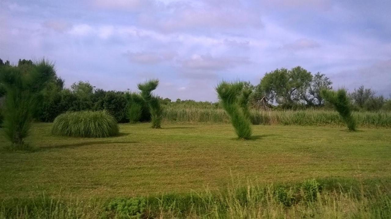 Ferienhaus Les Papyrus Avec Draps